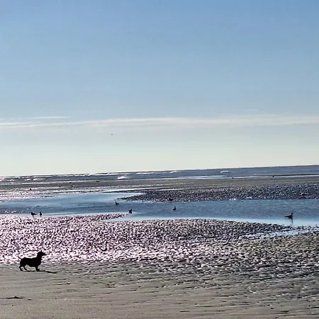 Les Vagues, Terrasse Rez-de-ch, Parking Gratuit, Lits Faits, Animal Bienvenu Et A Pied Appartement *