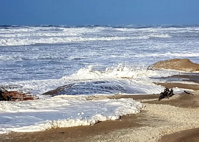 Апартаменты Les Vagues, Plage Et Centre A Pied, Terrasse Rez-De-Ch, Parking Gratuit, Lits Faits, Animal Bienvenu